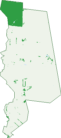 Where the trees are in Willowvale