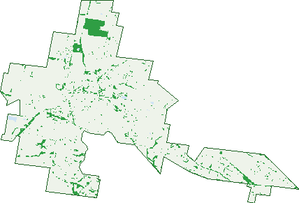 Where the trees are in Cobden
