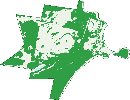 Where the trees are in Broulee