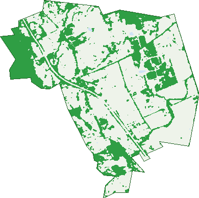 Where the trees are in Faraday