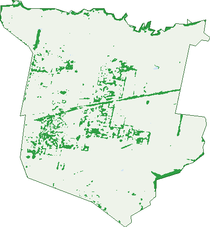 Where the trees are in Traralgon East