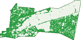 Where the trees are in Bayswater North