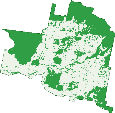Where the trees are in Bullioh