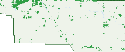 Where the trees are in Muckatah