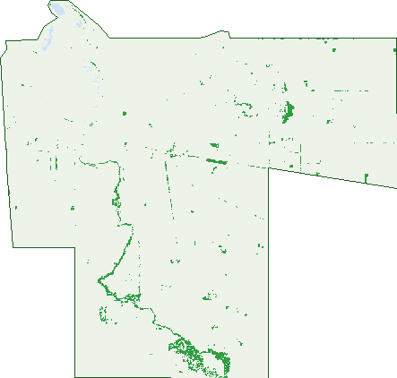 Where the trees are in Waitchie