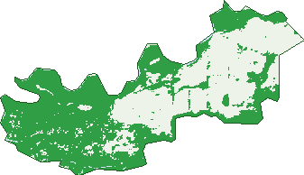 Where the trees are in Ulupna