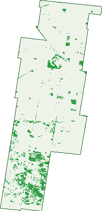 Where the trees are in Lawloit