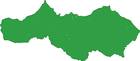 Where the trees are in Woods Point