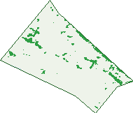 Where the trees are in Middle Park
