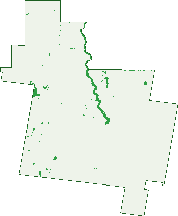 Where the trees are in Towaninny