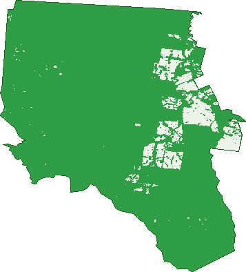 Where the trees are in Narbethong