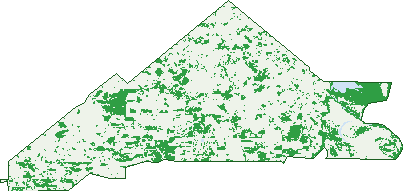 Where the trees are in Irymple