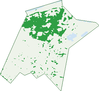 Where the trees are in East Geelong