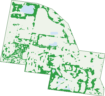 Where the trees are in Heatherton
