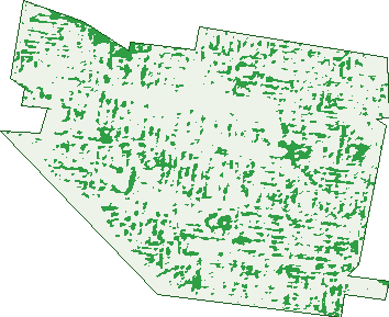 Where the trees are in Bentleigh