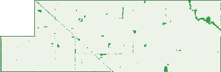 Where the trees are in Boigbeat