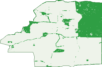 Where the trees are in Wandown