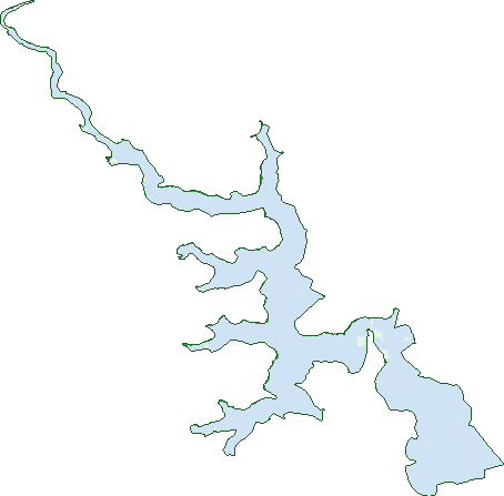 Where the trees are in Middle Harbour