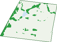 Where the trees are in Tylden South