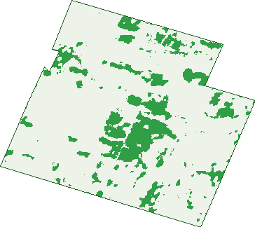 Where the trees are in Vine Vale
