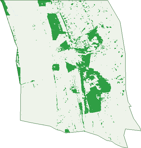 Where the trees are in Blackford