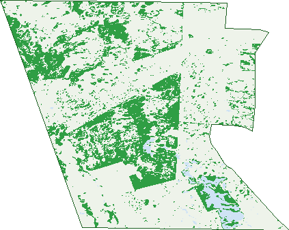 Where the trees are in Deepwater