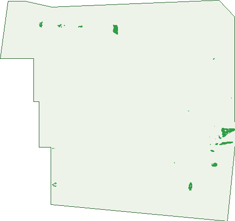 Where the trees are in Long Plains