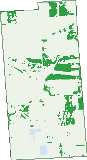 Where the trees are in Aldinga