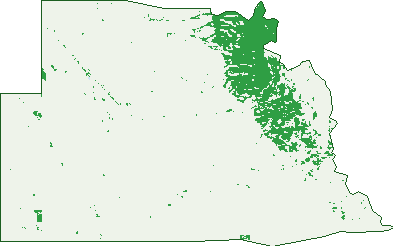 Where the trees are in Warnertown