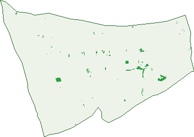 Where the trees are in Gum Creek