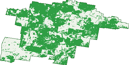 Where the trees are in Tingha