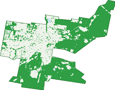 Where the trees are in Cessnock