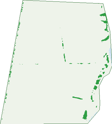 Where the trees are in Sheaoak Flat
