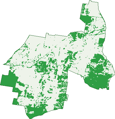Where the trees are in Mount Fairy