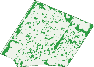 Where the trees are in Elizabeth Downs