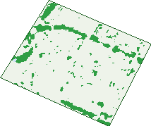 Where the trees are in Smithfield Plains