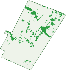 Where the trees are in Smithfield