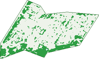 Where the trees are in Elizabeth Park