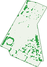 Where the trees are in Elizabeth