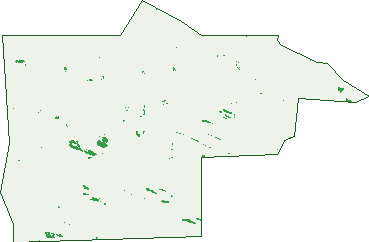 Where the trees are in Reeves Plains