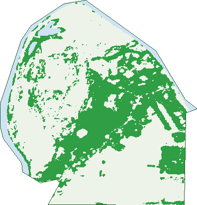 Where the trees are in Holder