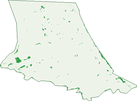 Where the trees are in Bethel
