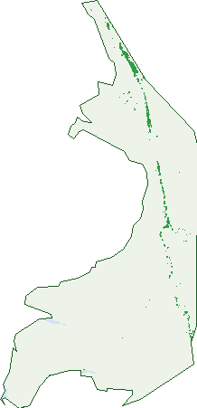 Where the trees are in Germein Bay