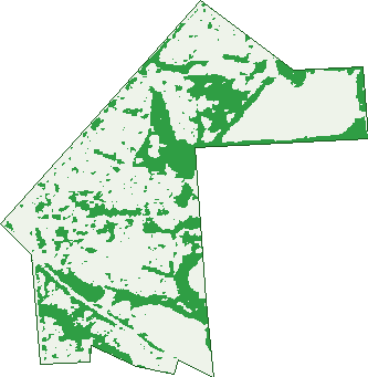 Where the trees are in Gulfview Heights
