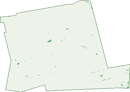Where the trees are in Kybunga