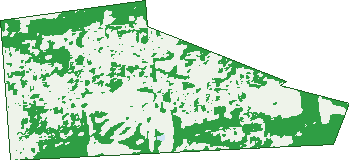 Where the trees are in Fairview Park
