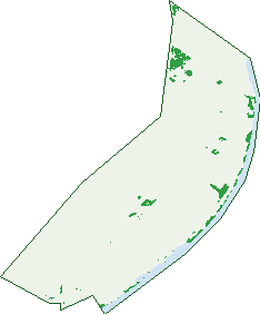 Where the trees are in Toora