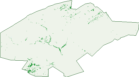 Where the trees are in Grampus