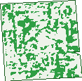 Where the trees are in Linden Park