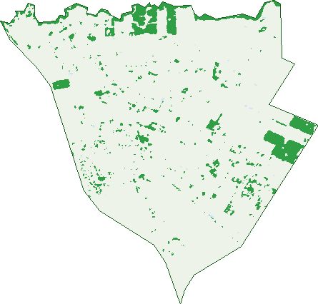 Where the trees are in Virginia